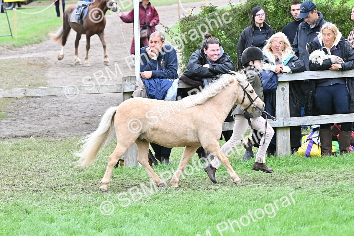 SBM_68583 - S42 - Junior Handler 9-12 Years