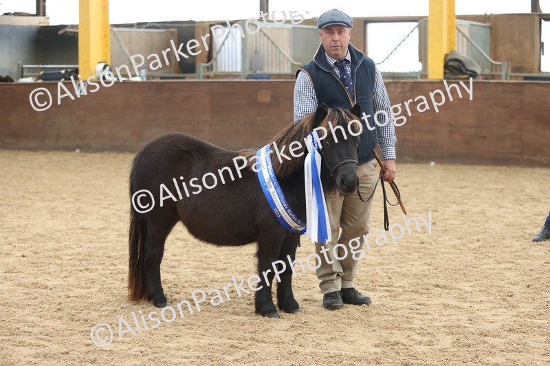 20251109-0137 - Championship