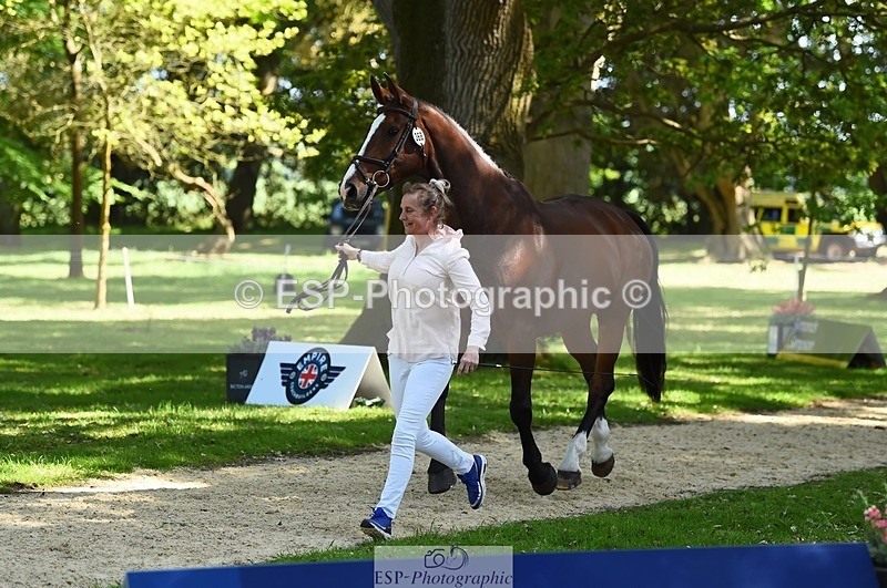 230524-153810-00404 - 368-COIRBAN_SARCO_DELUX-Rebecca_Gibbs-WEDTrotUp+DR