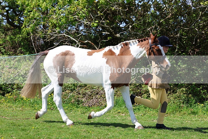 3E7A0307 - Class 19: Best Coloured in Hand