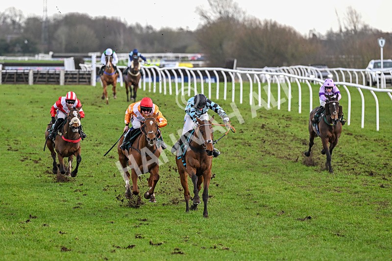 240226-Race 2-Secret Vino-6435 - Race 2