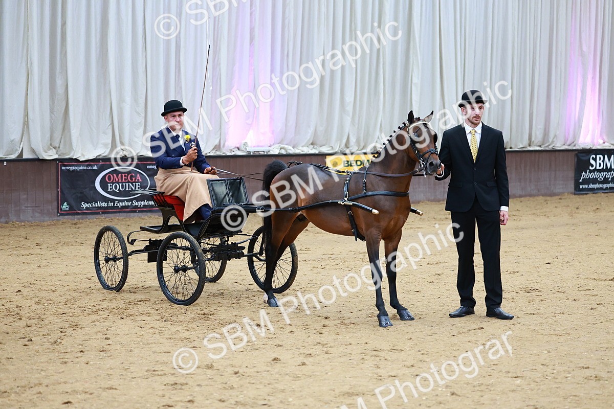 SBM_000644 - Class 9 - HHS Championship Intl Hackney Pony to a Showwagon