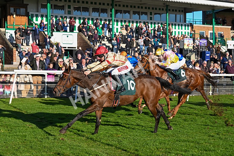 291024-Race 4-Rwenearlytheredad-6066 - Race 4