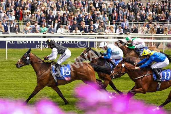 170523-Race 1-Scampi-6836 - Race 1 1.50pm Sky Bet Race To The Ebor Jorvik Handicap