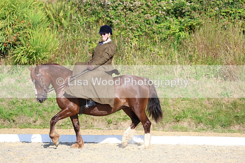 3E7A3465 - Class 2: Intro 1 2024 Section B