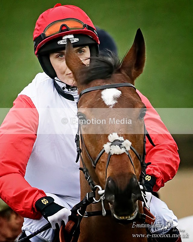 PtP  310116 332bb - Equestrian