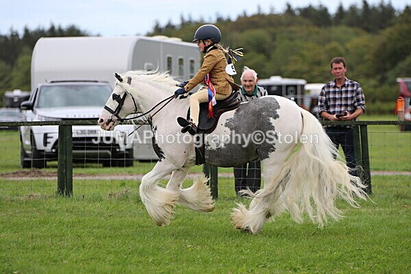 SIAL7805 - championships