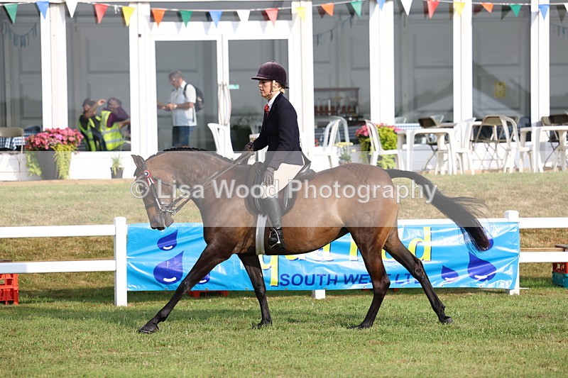 3E7A7712 - Class 1: Rising Star Small Hack/Riding Horses