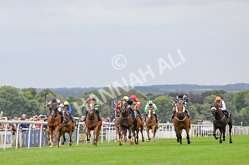 150824-Race 4-Opal Storm-4192 - Race 4