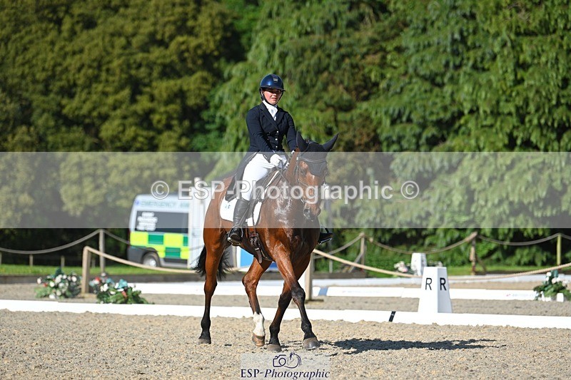 230526-173139-07627 - 264-BALLADEER_JUST_FOR_KICKS-Ellie_Healy-WEDTrotUp+DR