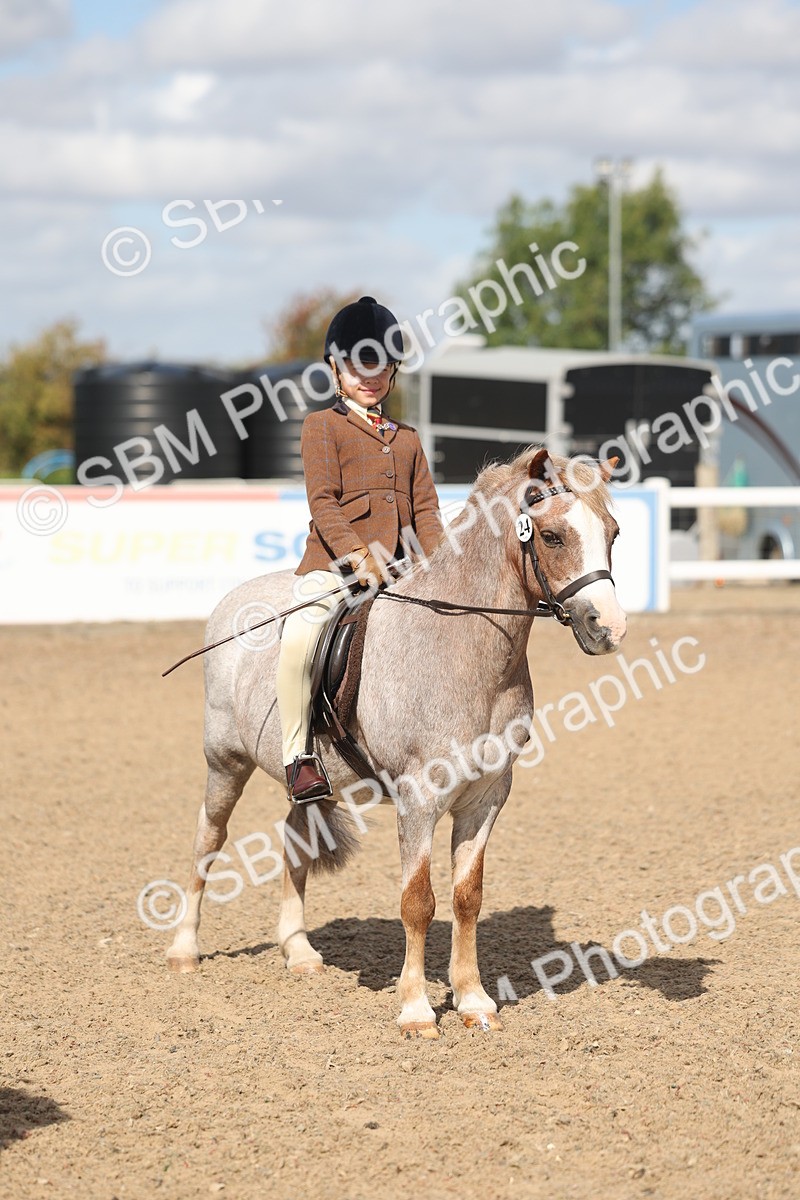SBM_23156 - Class 806 - Young Rider 10ry and Under