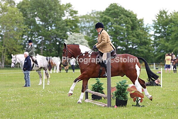 IMG_2787 - Working Hunter