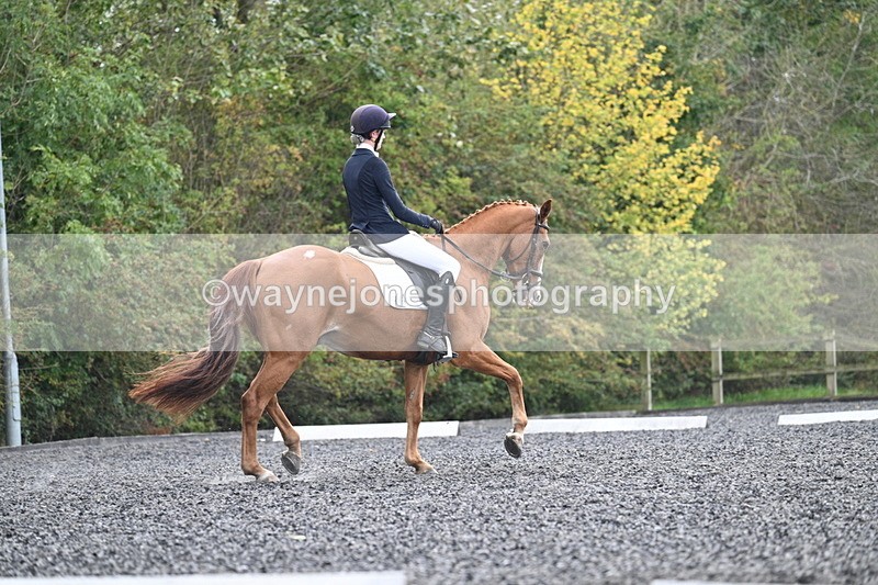 WJ7_6783 - Time 14:49 to 15:14