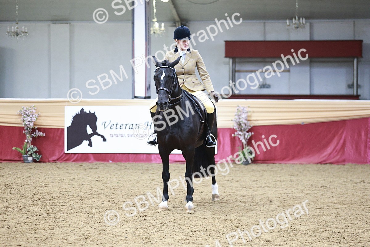 SBM_09012 - Class 12R - Regional Ridden Pre-Vet