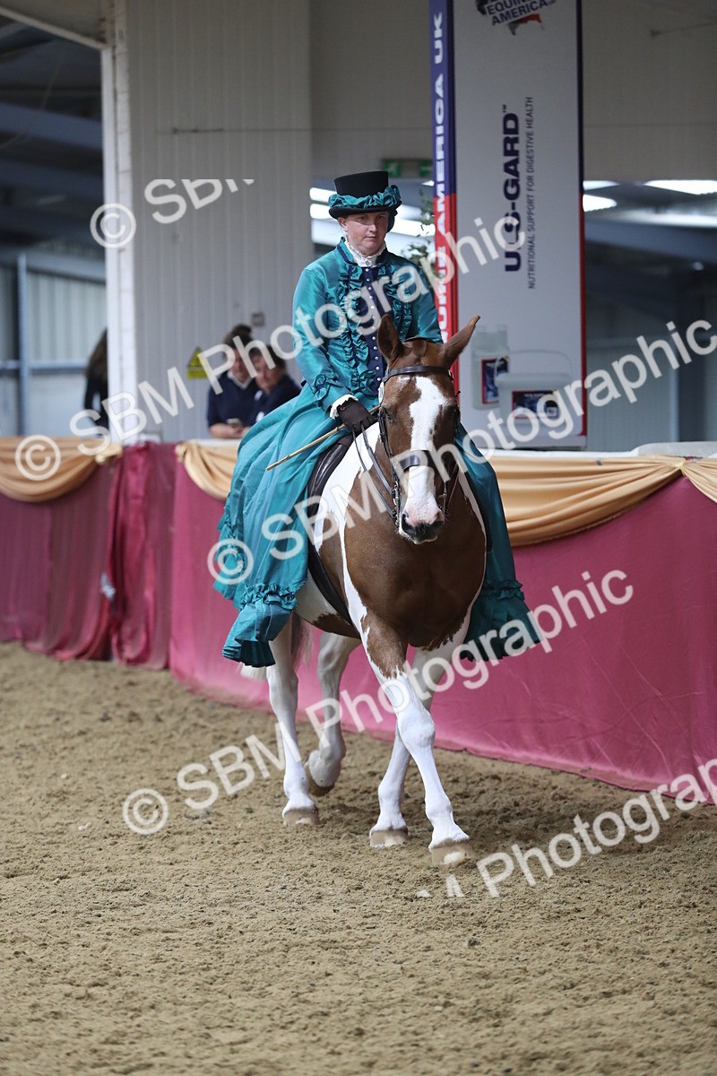 SBM_11959 - Class 106 Ridden Costume- Astride Adult (15-19)