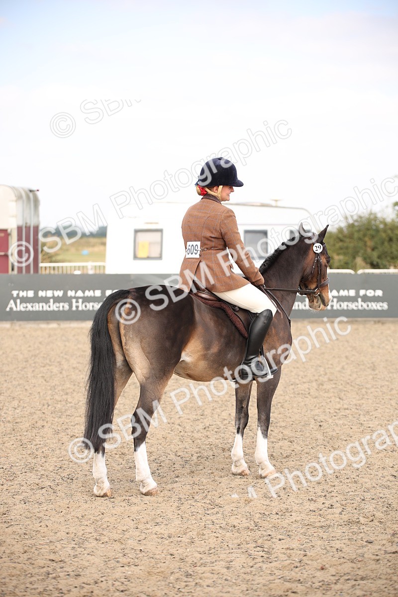 SBM_16069 - Class 408b - Working Veteran 70cm (20+)