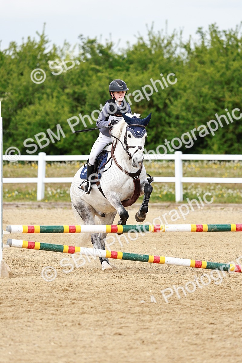 SBM_008078 - Class 3 - 60cm