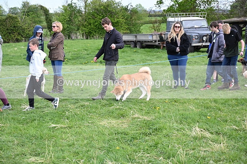 WJ6_8500 - Class 6 Best Rescue