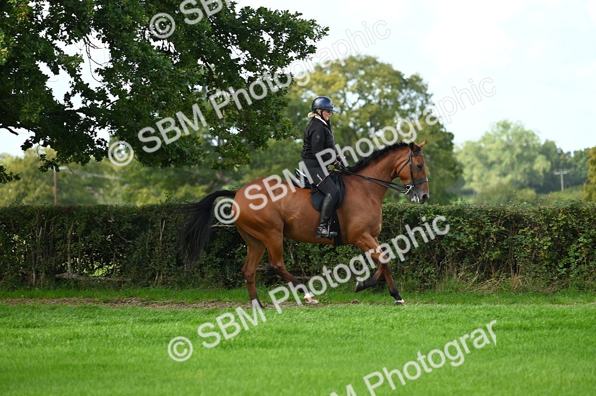 SBM_01979 - S2 - TSR Ridden Horse Showing
