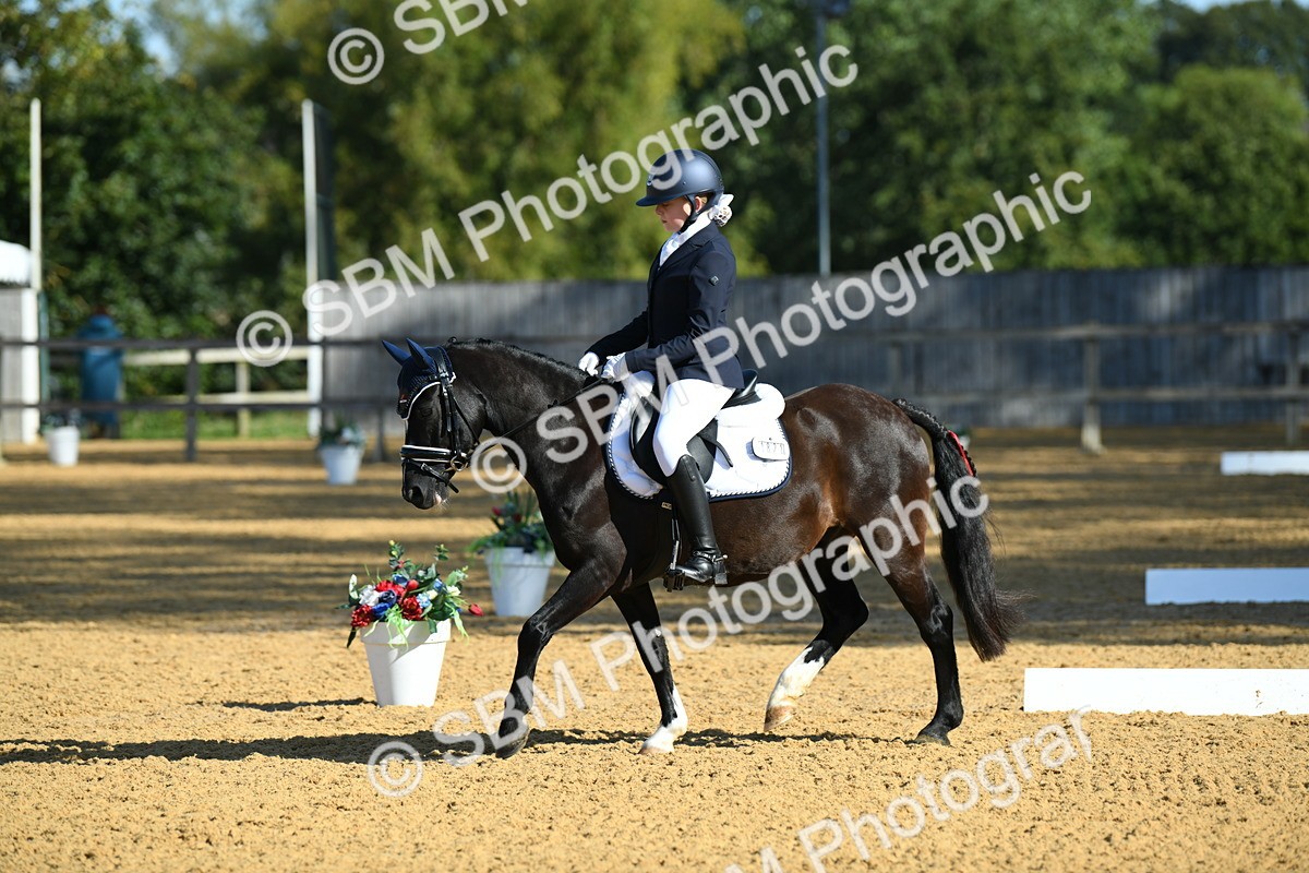 SBM_16317 - D4 - Small Tour Championship - Intro B