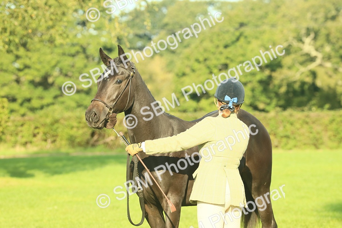 SBM_58619 - S37 - Starters In Hand Showing