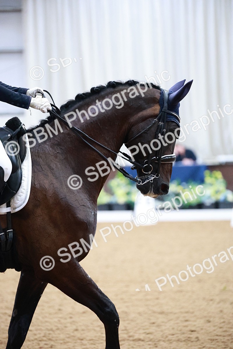 SBM_010128 - Class 13 - FEI PSG - 13.14-14.20