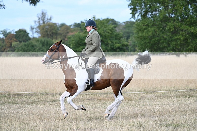 WJ7_7287 - Class 14 Ridden Coloured