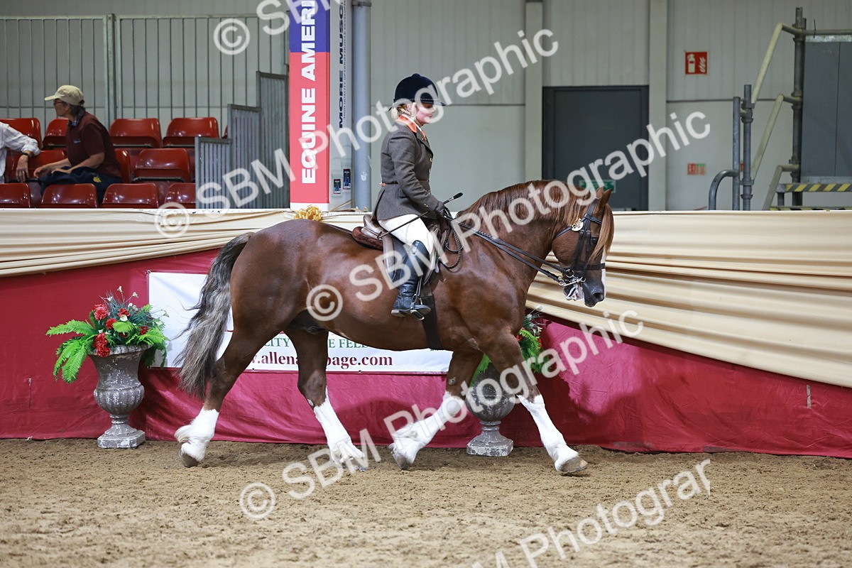 SBM_18706 - Class 952 - M&M Ridden Supreme Final