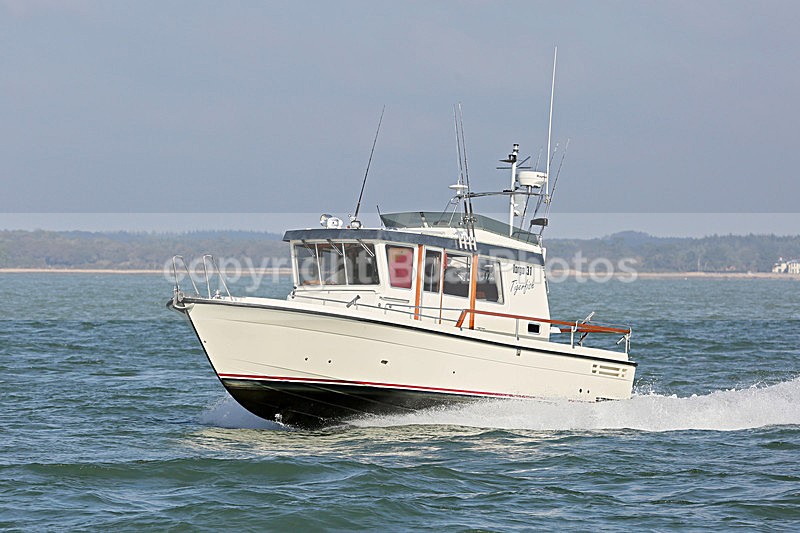 161022 TIGERFISH - TARGA 31 Y92A8734 - Motorboats - Hardtop
