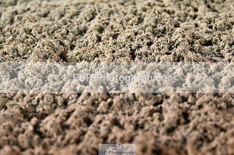 231105-171939-04654 - Cls 5 Novice 27 17.00 to End