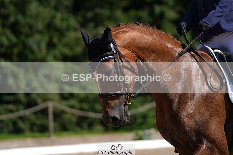 240719-153312-02684 - 109-Emma_Trace-Laddenbrook_Truman