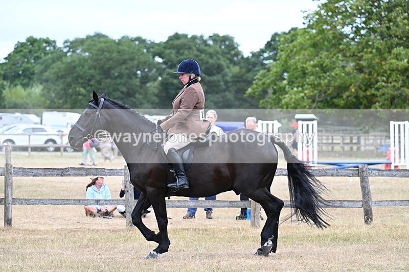 WJ7_7820 - Class 3 Family Mount