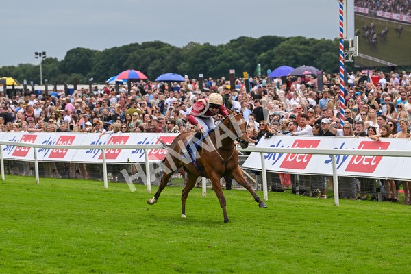 270724-Race 2-Rage Of Bamby-6804 - Race 2 2.40pm Sky Bet Dash Handicap