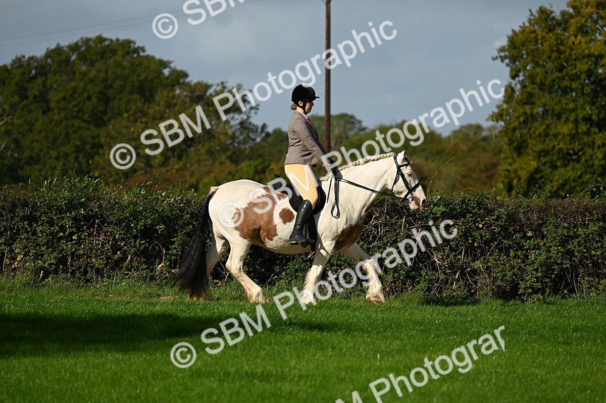 SBM_01289 - S2 - TSR Ridden Horse Showing