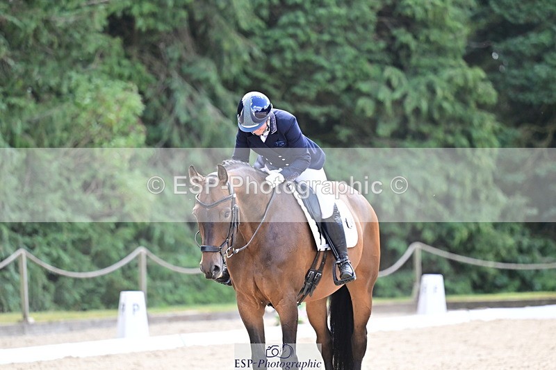 260731A-125314-00913 - Elementary Bronze Break- End
