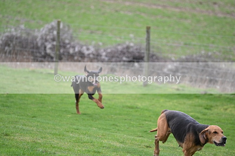 WJ6_8973 - Line Three