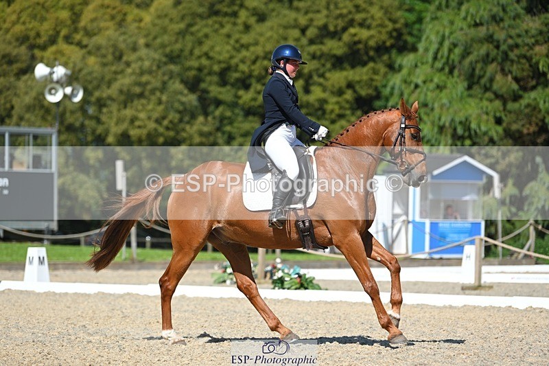 230526-155407-07206 - 251-CLASS_MOVE-Ellie_Healy-WEDTrotUp+DR