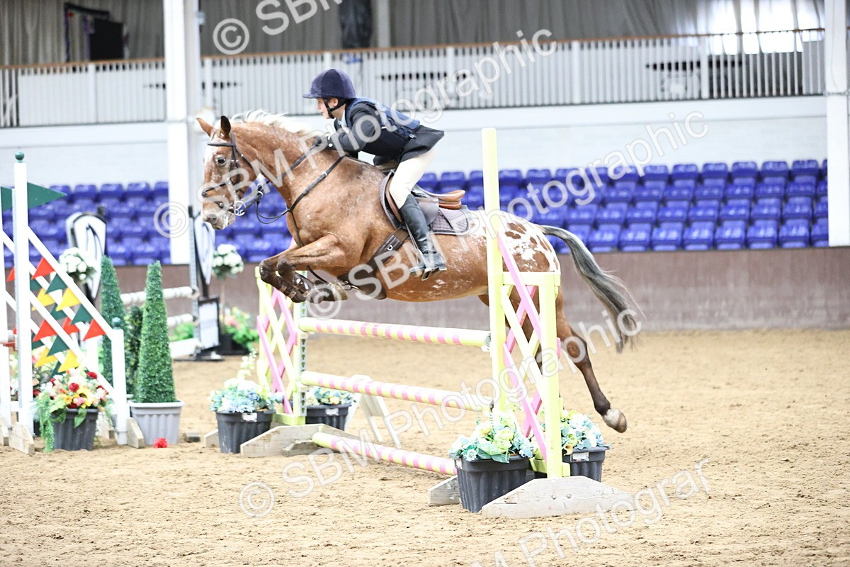 SBM_002394 - Class 11 - Pony Discovery - 90cm Open