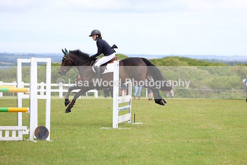 3E7A7216 - Class 13: Senior British Novice/90cm open