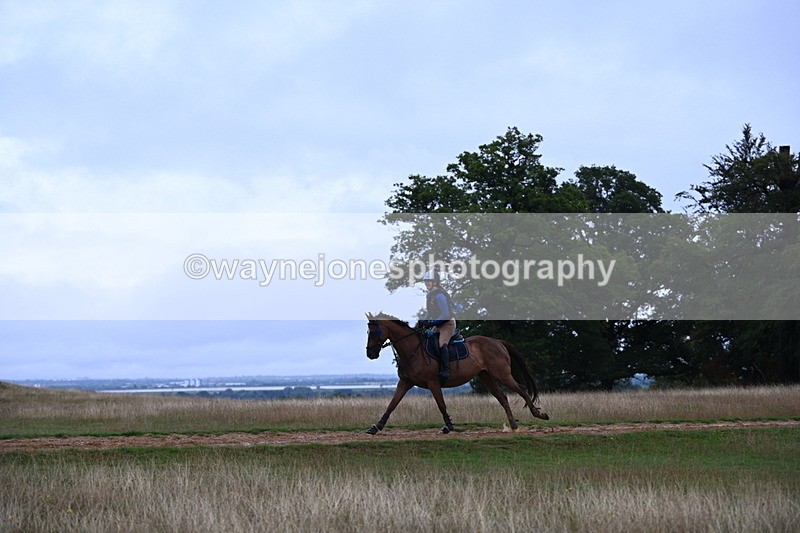 DSC_3821 - Time at Statue 13:51 to 14:55