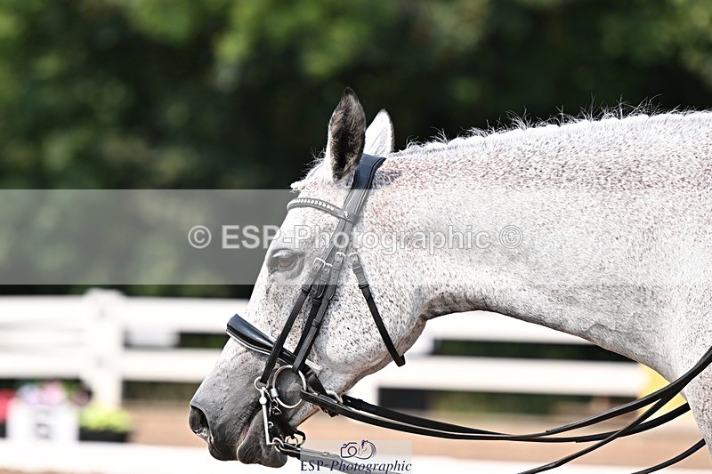 250816-145625-05505 - 149-Sophie.HawkeRAINBOW.DREAM