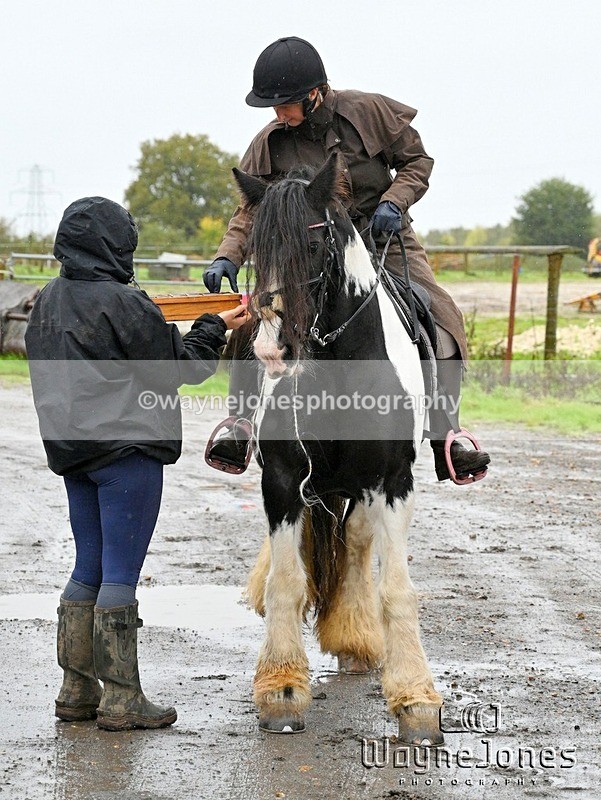WJ7_7919 - Berks & Bucks Blackcroft Farm 20-10-24