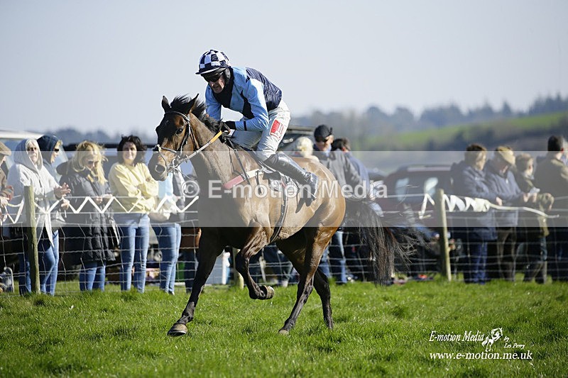 PtP 190322 760 - Wilton Hunt PtP Milborne St Andrew 19/03/22