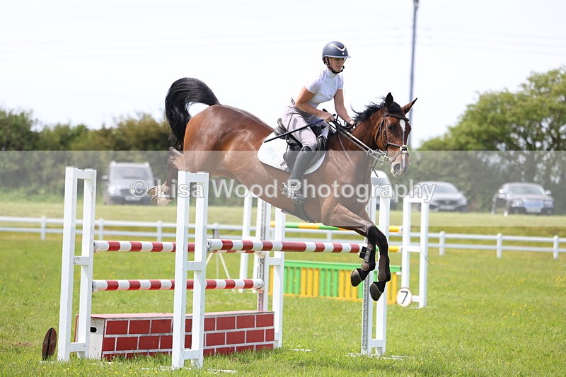 3E7A1408 - Class 12: Senior Foxhunter/1.20 open