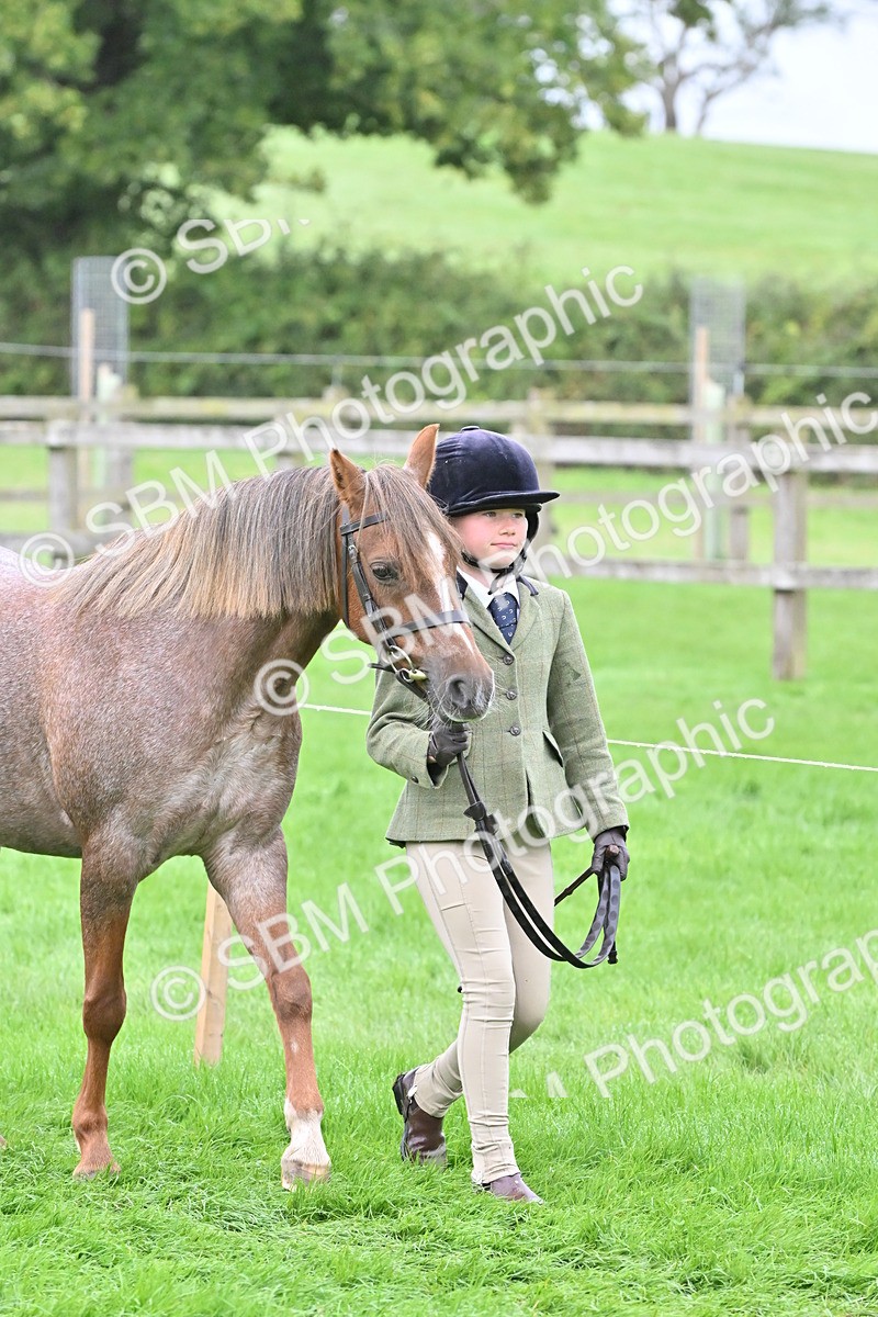 SBM_60913 - S48 - Mountain & Moorland In Hand Small Breeds