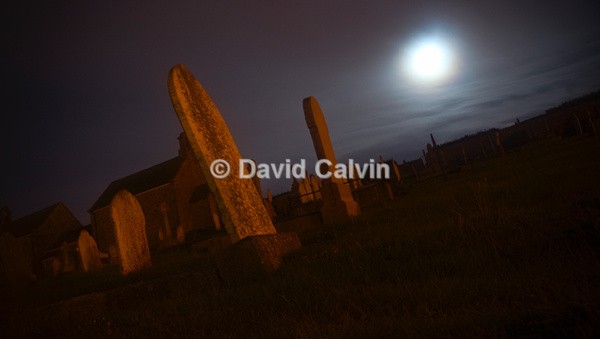 Moonlit Cemetary - Nocturnal