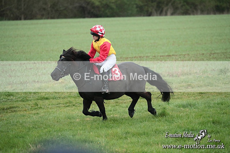 SHETPR 210425 126 - Shetland Ponies Paxford Races 21/04/25
