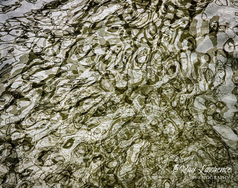 Olive Spaghetti_RLP0017 - Double Take