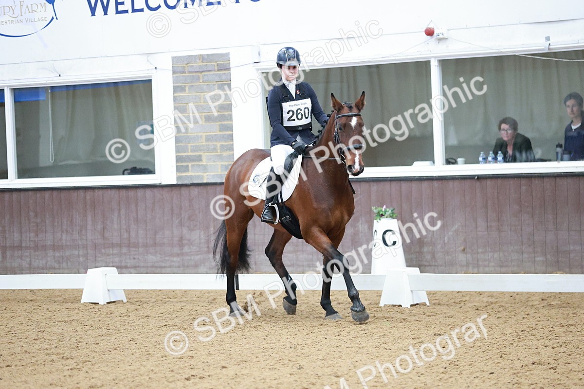 SBM_003994 - Class 2 - Novice 2020