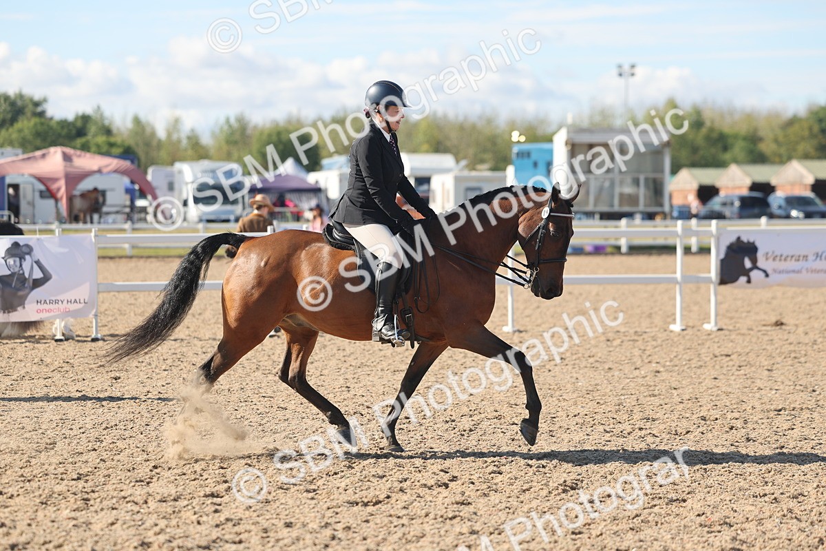 SBM_13043 - Class 305 - Ridden Foreign Breed Pure Bred